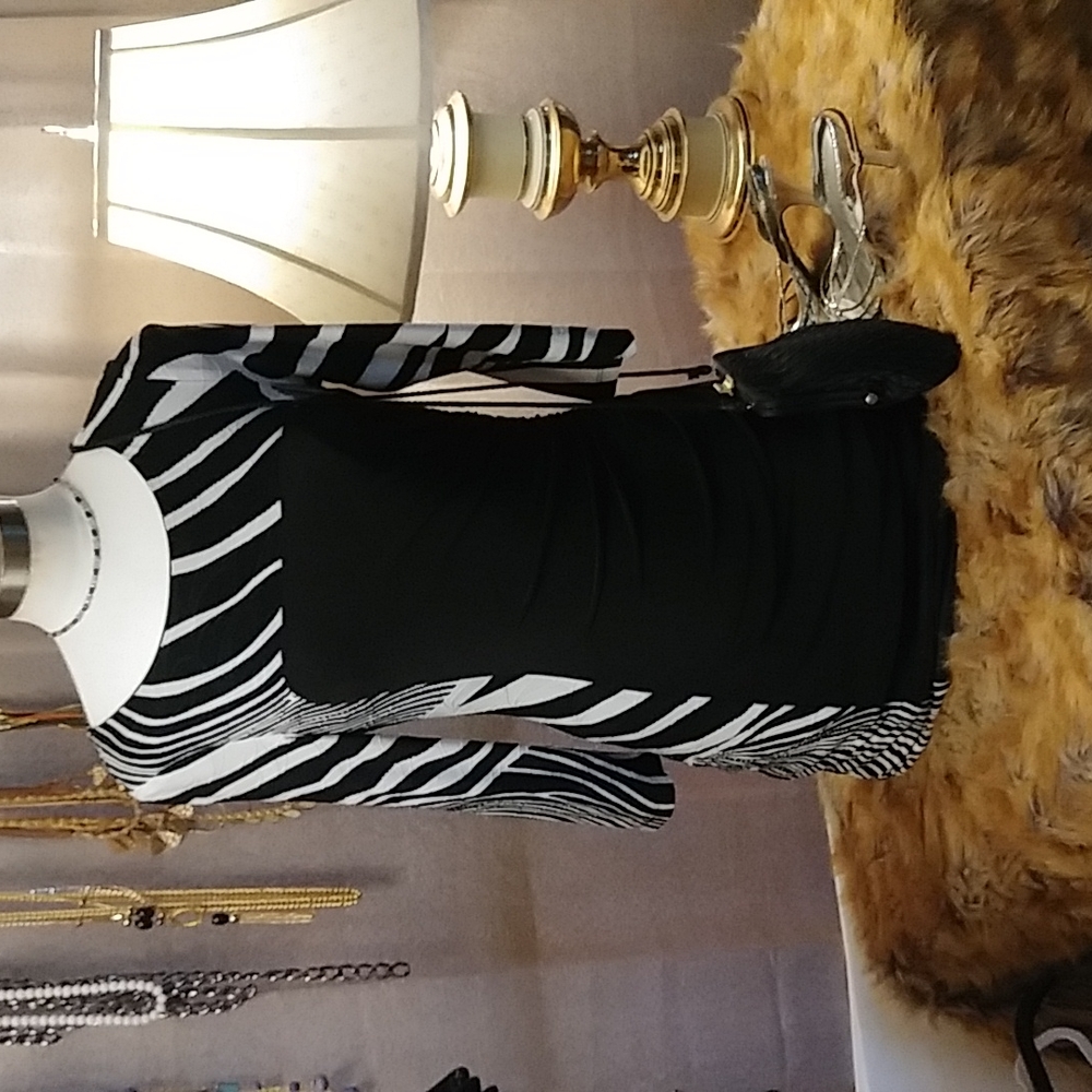 Frank Lyman dress SZ 2 NWOT